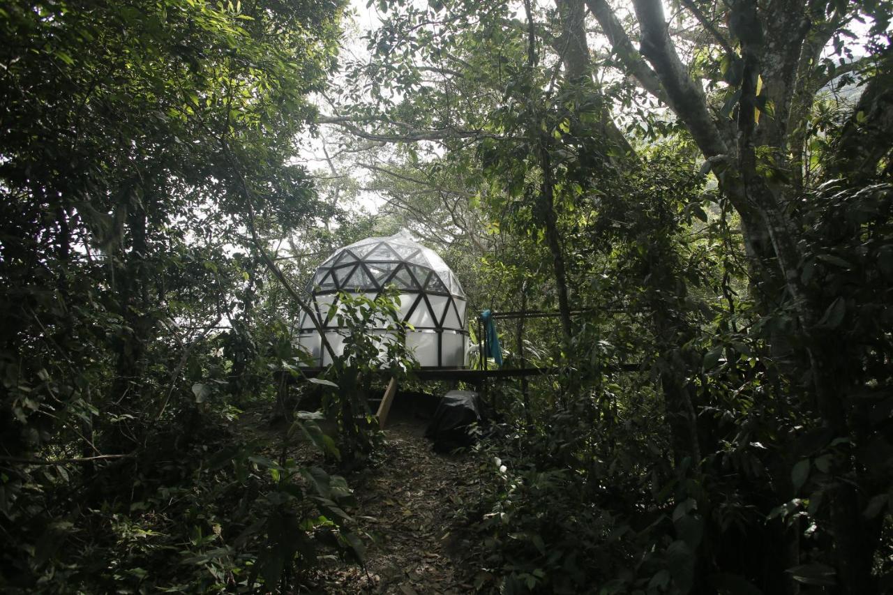 Taorayina Nature Lodge- Immersed In The Forest El Zaino Exterior photo